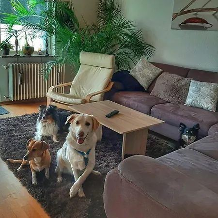 Hillis Ferienwohnung Saarland Sankt Ingbert Buitenkant foto