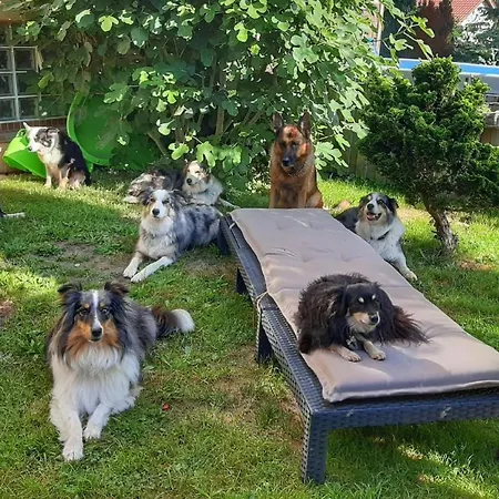 Hillis Ferienwohnung Saarland Sankt Ingbert Buitenkant foto