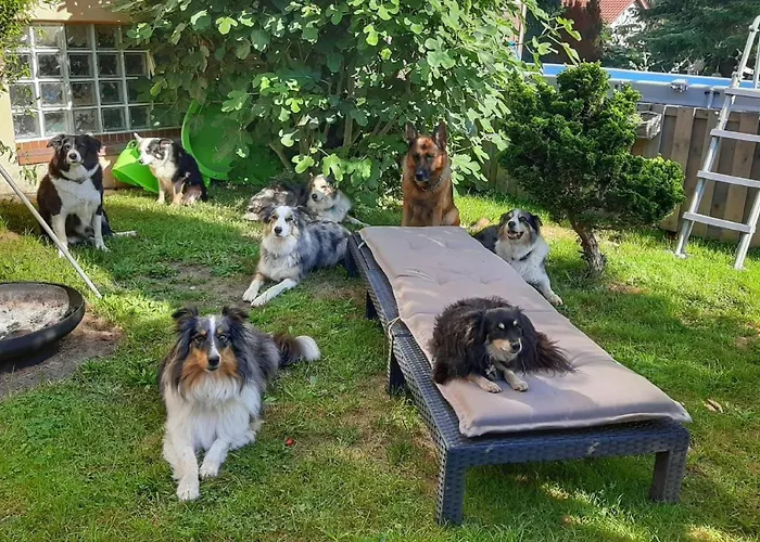 Hillis Ferienwohnung Saarland