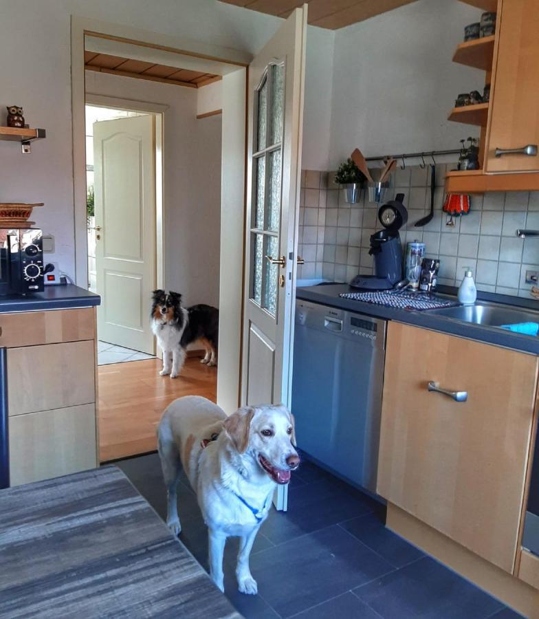 Apartment Hillis Saarland Sankt Ingbert