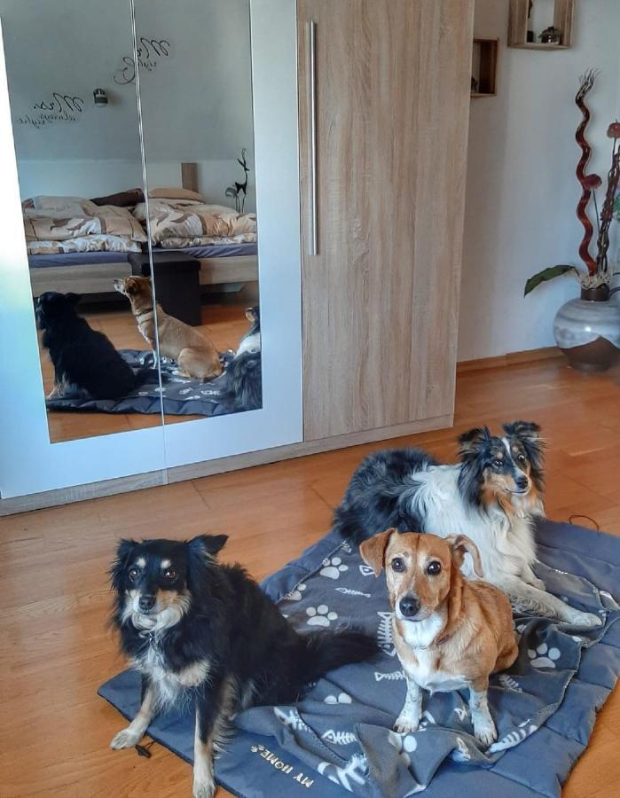 Apartment Hillis Saarland